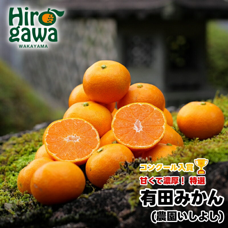 【ふるさと納税】 有田みかん 特選 3kg 5kg 7.5kg 10kg 【 創業120年 農家直送 】 ※11月中旬より翌年1月中旬までに順次発送予定 / 温州みかん みかん フルーツ 柑橘 果物 和歌山 紀州 有田 //mandarin //jcm