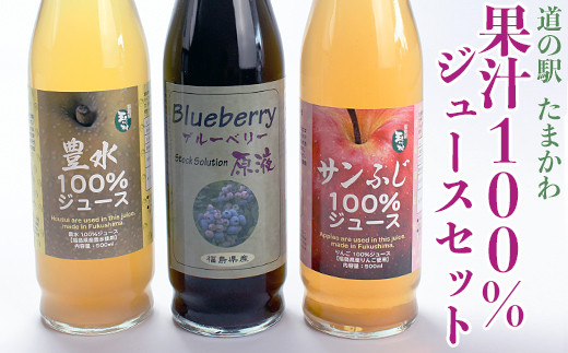 
FT18-179【道の駅たまかわ】玉川村産 果汁100％ジュースセット
