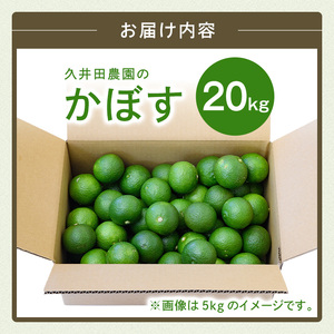 かぼす(20kg)柑橘 かんきつ 大分県産直 期間限定【112600400】【ａｎｄＫ】
