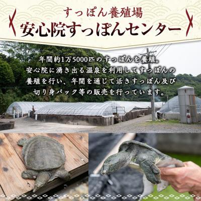 ふるさと納税 宇佐市 すっぽん切身300g×3パック 【102700301】【安心院すっぽんセンター】 |  | 01