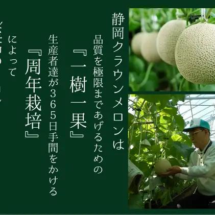 メロン 発送月選択 クラウン 白等級 特大玉 1玉 メロン 2026年8月発送
