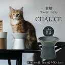 【ふるさと納税】【美濃焼】 ネコ用 フードボウル CHALICE / food bowl（keshizumi消炭） / & CAT フードボウル ペット用 ペット用品 多治見市/アペックスハート [TAB008]