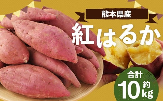 熊本産 紅はるか 約10kg 【2026年3月下旬まで発送予定】