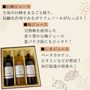 生坂村産　手作りジュースセット 果汁飲料 野菜飲料 ぶどうジュース ブドウ