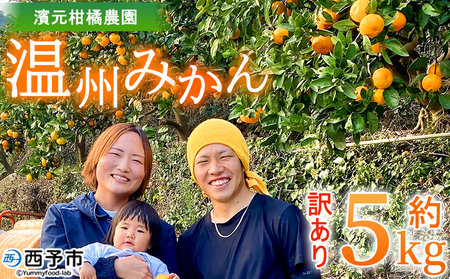 ＜明浜産 温州みかん 約5kg 訳あり＞ 愛媛みかん 農家直送 家庭用 自宅用 ワケアリ 果物 フルーツ 柑橘 ミカン 蜜柑 S～L 濱元柑橘農園 西予市【常温】『2025年11月下旬から12月中旬までに順次出荷予定』AHK0002