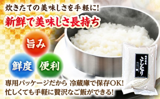 【令和7年産】真空パック 福井県産こしひかり 300g(約2合) × 10パック 計3kg | 真空包装 コシヒカリ こしひかり 白米 精米 個包装 小分けパック 少量 小浜市 / シマダ農園 [BF
