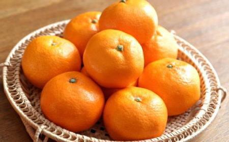 [秀品]有田のブランド「賢みかん」5kg(Mサイズ) 【2024年11月中旬頃より順次発送】