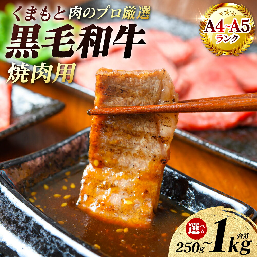 【ふるさと納税】 【A4～A5ランク】 くまもと黒毛和牛 焼肉用 250g～1kg 【選べる内容量】 和牛 牛肉 お肉 黒毛和牛 冷凍 小分け 焼肉 BBQ おかず ギフト 熊本県 八代市 送料無料