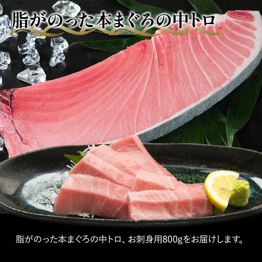 本マグロ 刺身用 中トロ 5人前 (800g) | 本マグロ 津久見市