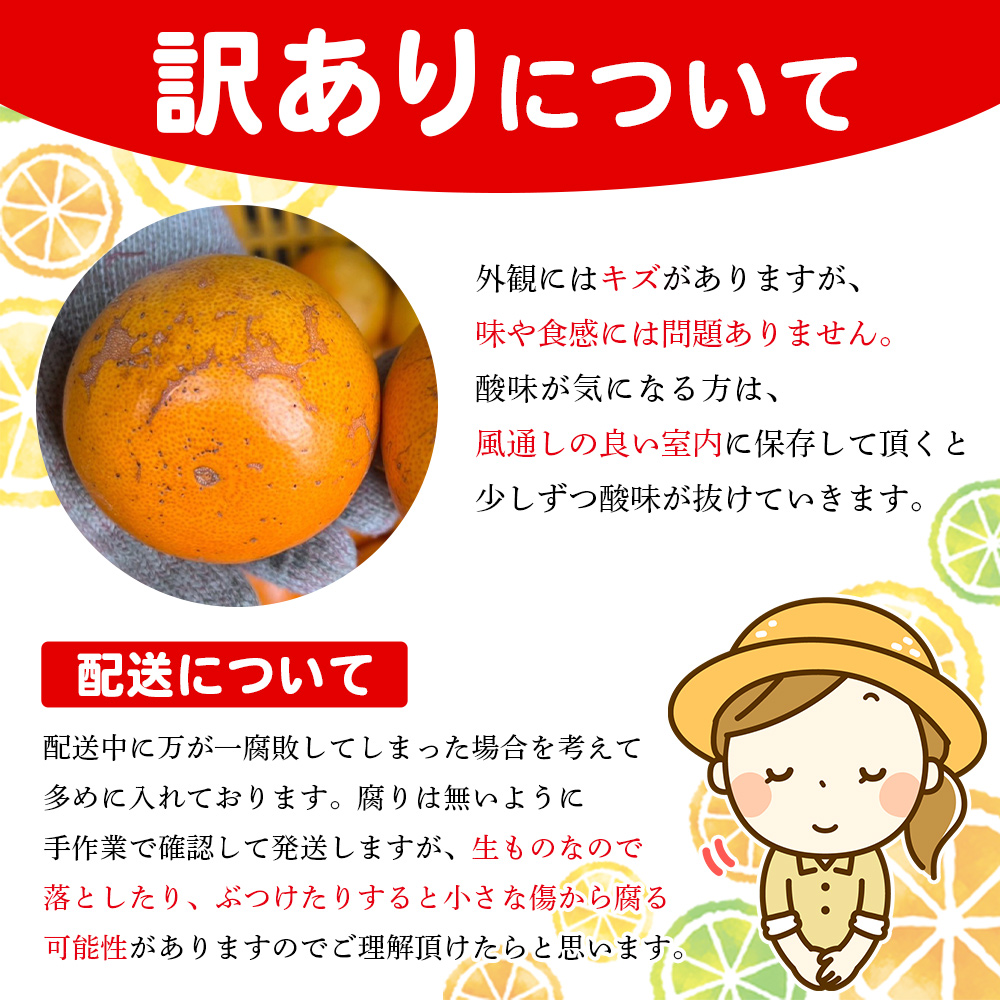 ＜木下さんちのせとか 訳あり 約5kg（S～3L大中小混み）＞ 訳アリ 家庭用 自宅用 柑橘 ミカン みかん 蜜柑 果物 くだもの フルーツ 国産 特産品 木下農園 愛媛県 西予市【常温】『2027年