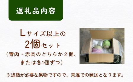 【訳あり】富山県産 アールスメロン（おまかせ計2個） 富山県 氷見市 メロン めろん 果物 くだもの フルーツ