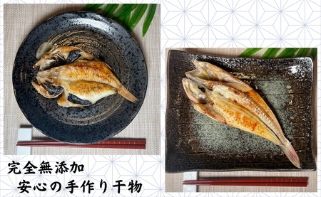 干物 礁の銚子の地魚干物セット 魚種 おまかせ 6～8枚 干物