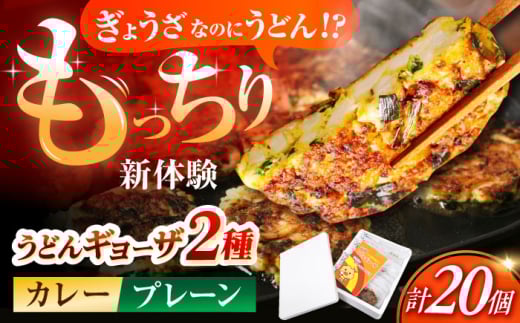 高槻うどんギョーザふるさとギフト 【プレーン＆カレー 20個】 餃子 ぎょうざ ギョーザ うどん 焼きうどん お好み焼き 食品 贈答 ギフト 産地直送 取り寄せ 送料無料 大阪 14000円 大阪府高槻市/高槻うどんギョーザの会 [AOAU002]