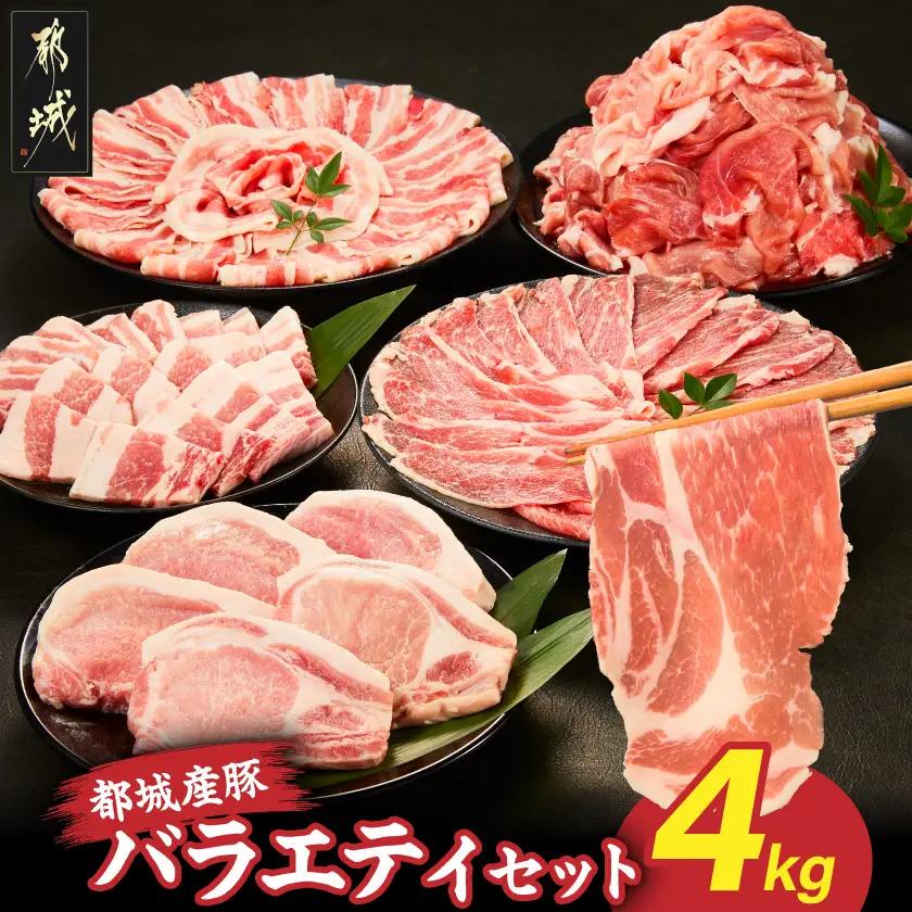 都城産豚バラエティセット4kg〔25-017〕_(都城市)