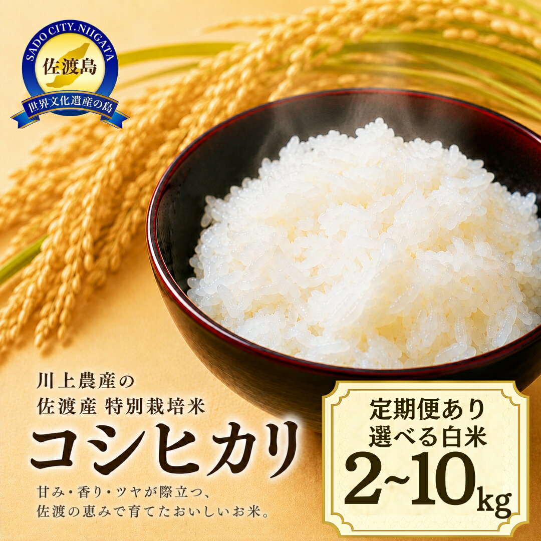 【ふるさと納税】【容量選択可】【定期便あり】令和7年産 佐渡 川上農産のコシヒカリ　2kg〜10kg