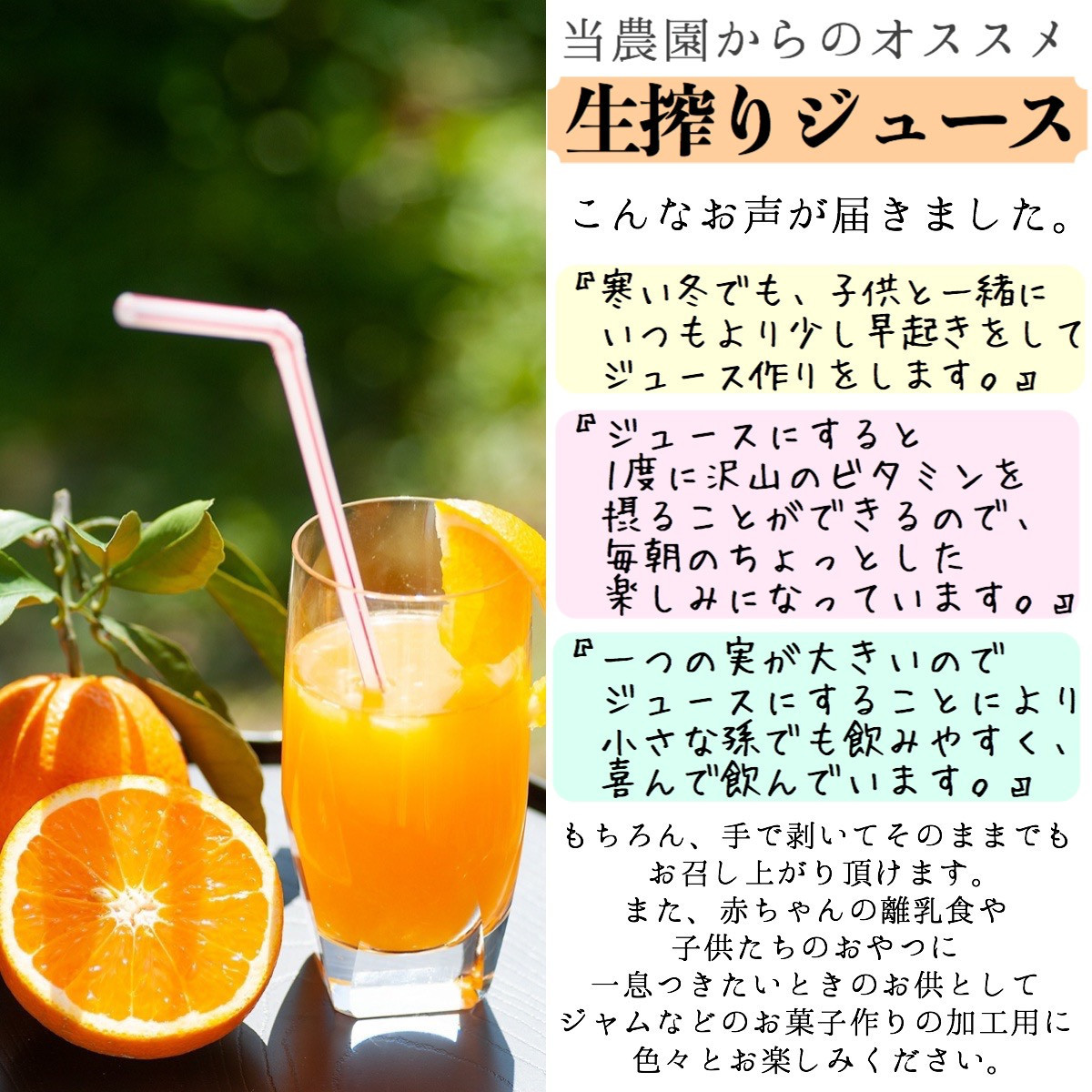 清見オレンジ 約5kg 大小混合 《ご家庭用》 ちょっと訳あり 和歌山県産 農園直送 まごころ産直みかん 【北海道・沖縄県・一部離島 配送不可】 ［Mg65］