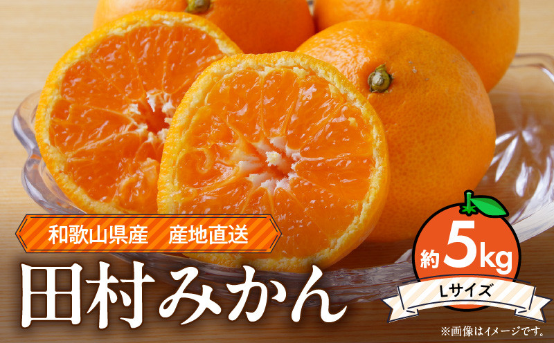
                  【2026年先行予約】和歌山 湯浅町産 田村みかん 約5kg【Lサイズ】  ※着日指定不可_ZE6343n
                