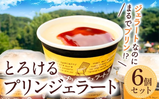 
            とろけるプリンジェラート 90ml×6個 グローバルアリーナ 《45日以内に出荷予定(土日祝除く)》 プリン ジェラート GA倶楽部 デザート 味宝卵 お菓子 スイーツ 冷凍
          
