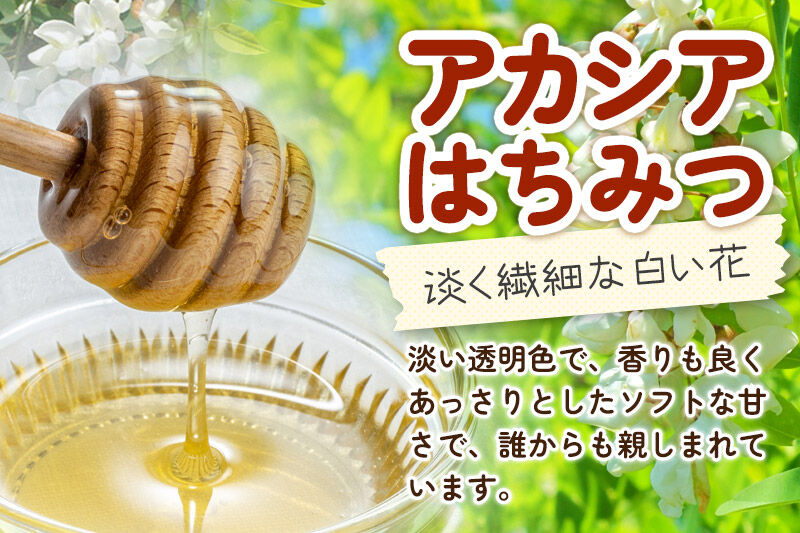 《先行受付》【定期便隔月・2回】【新蜜】小松養蜂場 はちみつ 秋田県産100％ ピッチャー入 アカシア・栃蜂蜜セット 合計500g （アカシア蜂蜜250g、栃蜂蜜250g） [はちみつ ハチミツ 蜂蜜 国産 秋田県産100％ 自家採蜜100％]
