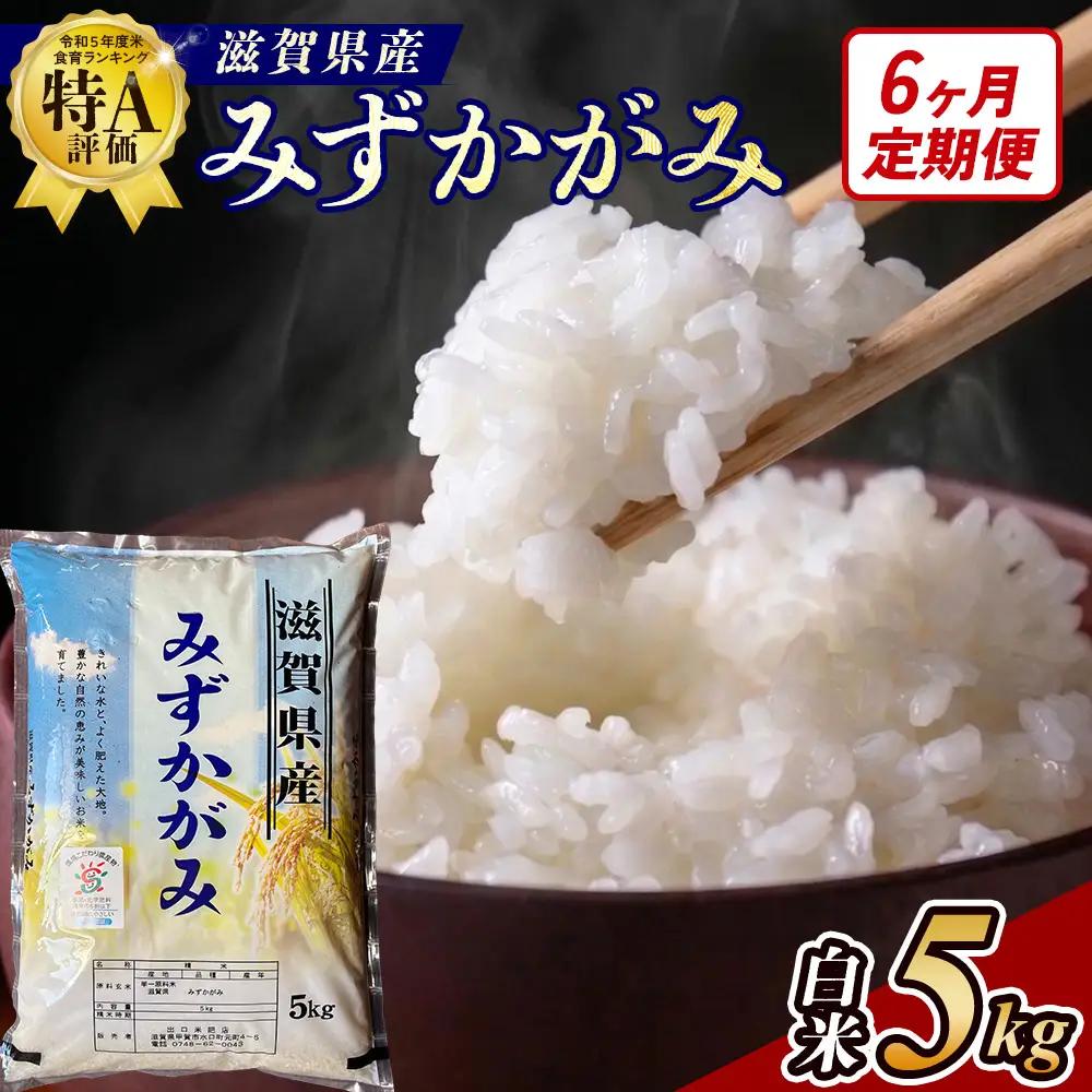 【6ヶ月定期便】【令和7年産】近江米みずかがみ白米5kg (173433-40038265)