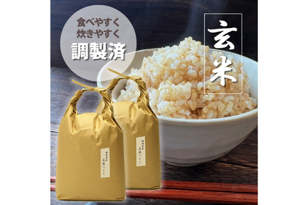 玄米 令和7年産 元気つくし 5kg 2袋