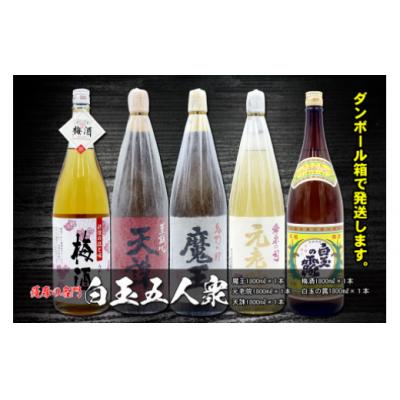 ふるさと納税 錦江町 薩摩の名門　白玉五人衆　一升瓶5本セット(No.5025-1)