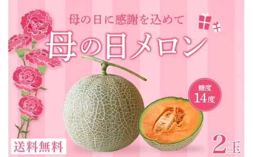 
                  母の日ギフト 母の日メロン【大玉２玉】｜沖縄県宮古島産（琉球マルシェ）
                