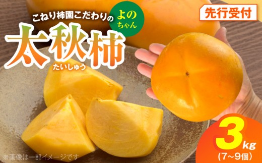 【先行受付】 太秋柿 3kg こねり柿園こだわりの『よのちゃん太秋柿』 KNR0108