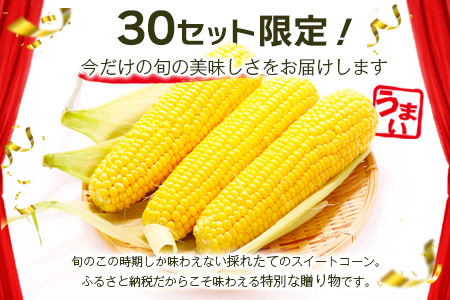 予約受付【限定30セット】スイートコーン（ゴールドラッシュ）10～12本入 とうもろこし トウモロコシ 野菜 B-319 佐賀 鹿島