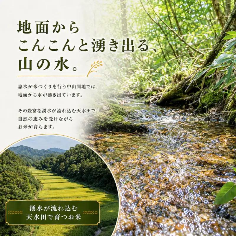 【ふるなび限定】【令和8年産 】新潟県産 農家応援米 精米 10kg 米 お米 新米 訳あり 大容量　FN-Limited-SP