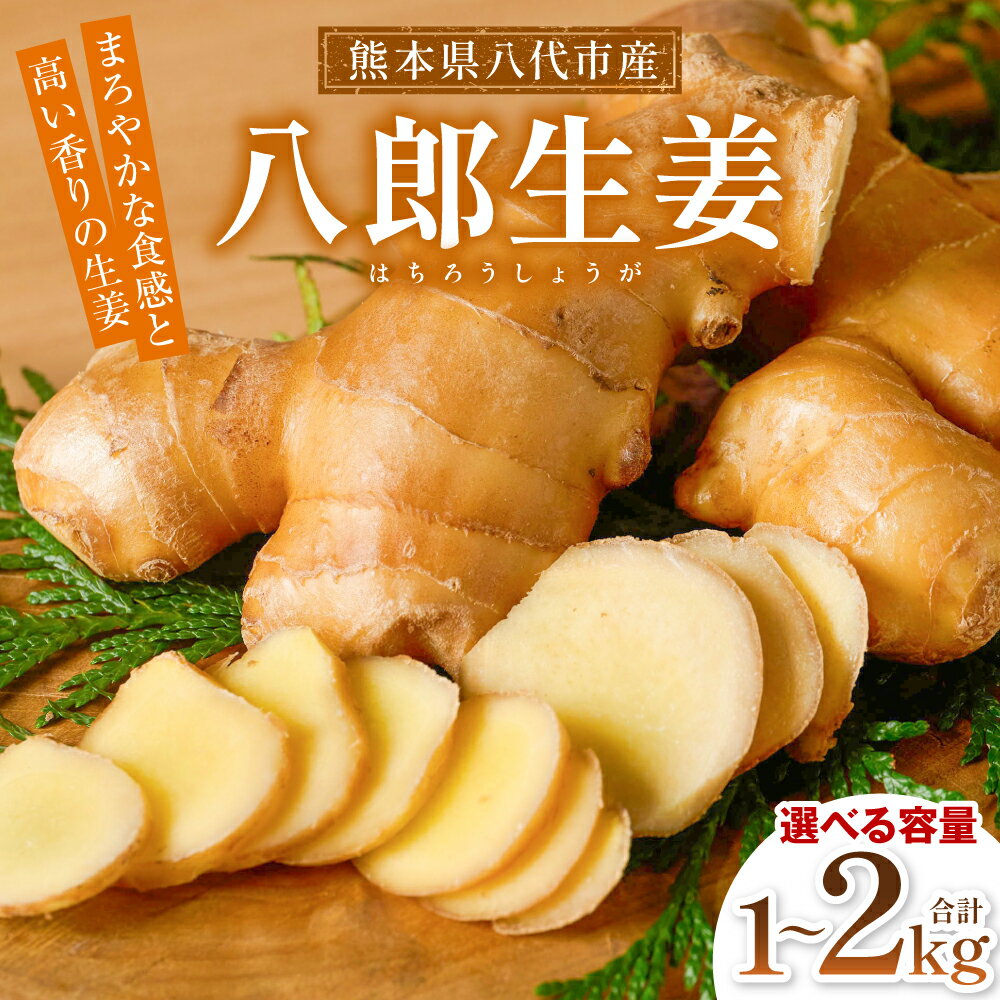 【ふるさと納税】 【選べる容量】 八郎生姜 1kg～2kg しょうが ショウガ ガリ ジンジャー 野菜 食品 薬味 生姜焼き しょうが焼き 温活 冷え性 対策 熊本県 八代市 東陽町 産地直送 国産 送料無料