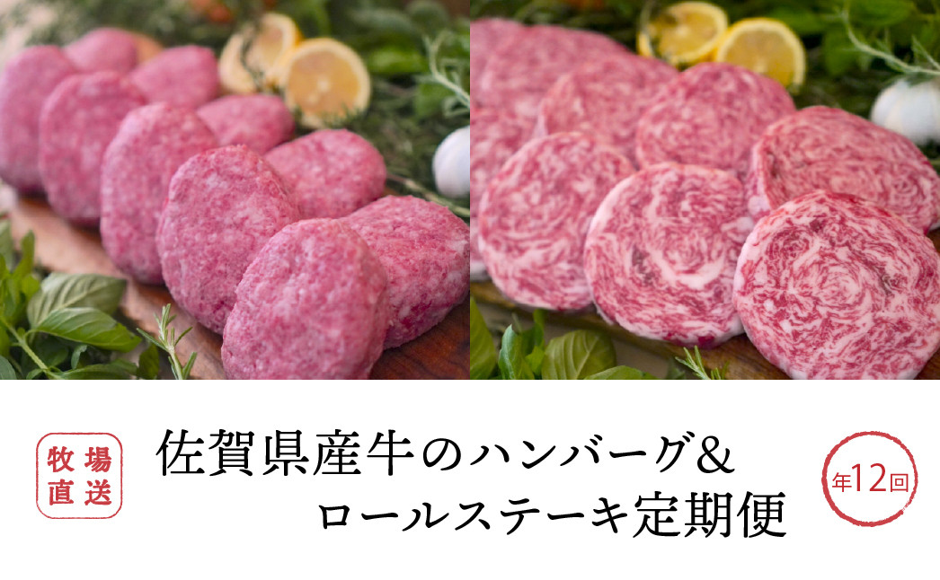 
            【定期便セット】全12回 佐賀県産牛のハンバーグ10個/ミルフィーユロールステーキ10個 総重量12,600g TOMMY BEEF
          