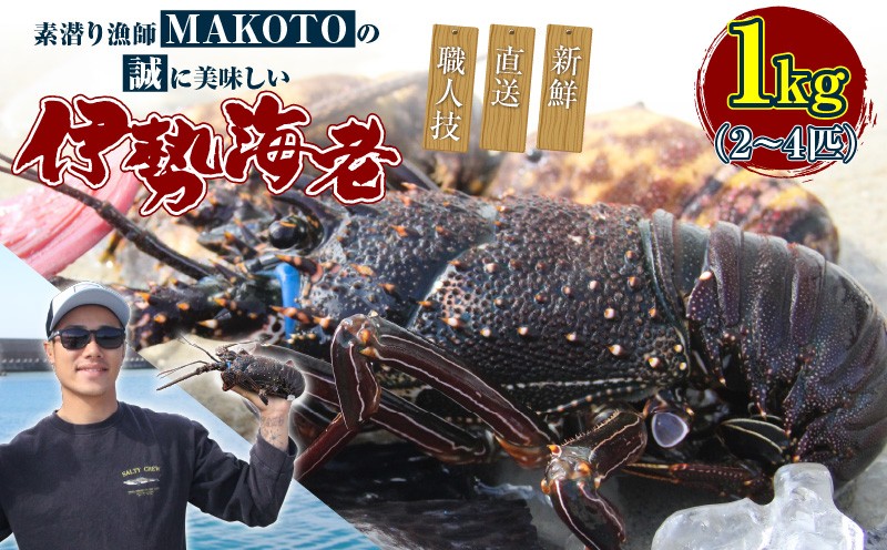 
                  素潜り漁師MAKOTOの誠に美味しい伊勢海老 1kg（2～4匹）　C074-001
                