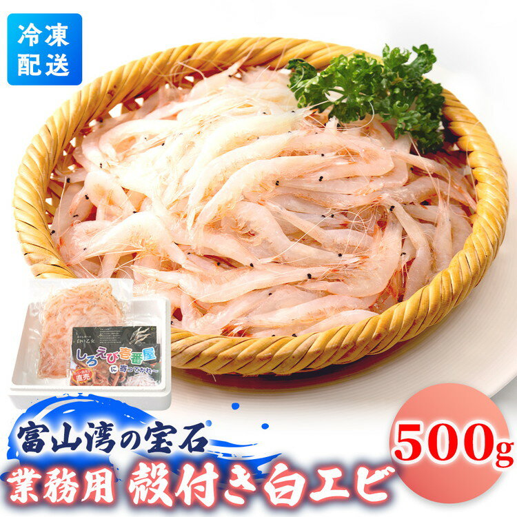 【ふるさと納税】業務用殻付きシロエビ500g｜白エビ 白えび 白海老 しろえび エビ えび 海老 刺身 刺し身 さしみ 国産 新鮮 海鮮 富山県産 富山湾 富山 北陸 北陸産 魚貝類 魚介類 魚貝 魚介 甘い おかず 海産物 おすすめ 人気 ランキング