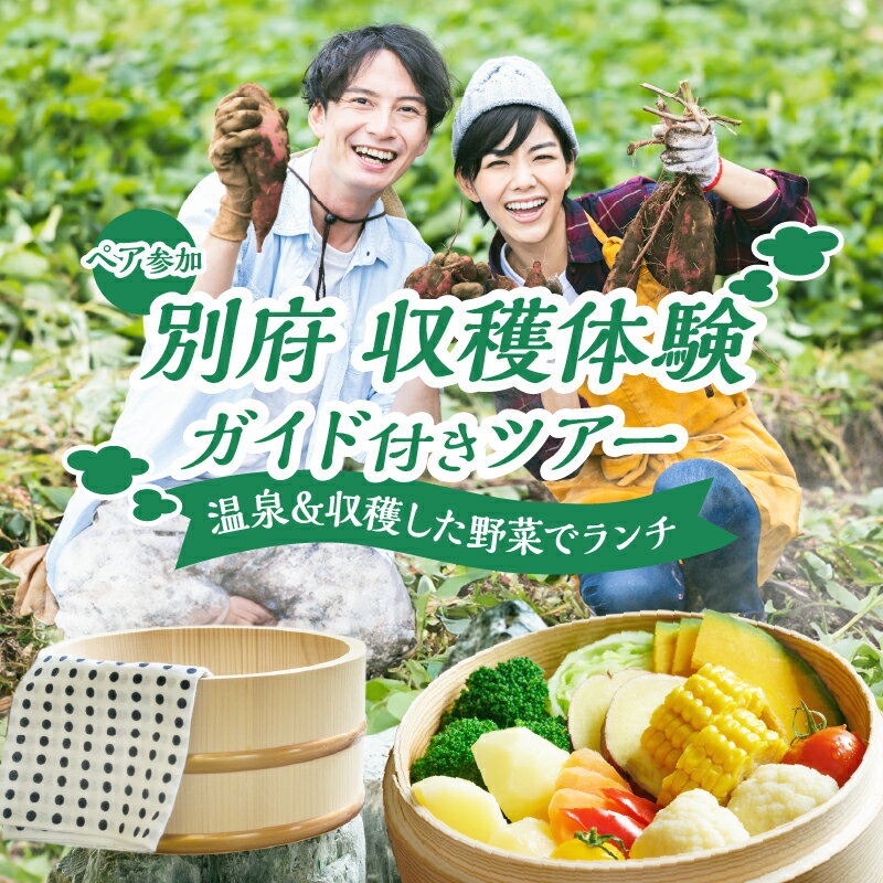 【ふるさと納税】別府市の農家で旬の野菜収穫、温泉、地獄蒸しを贅沢に満喫！ 別府 収穫体験 ガイド付き ツアー ペア参加 体験 観光 旅行 お出かけ トラベル 農作物 ランチ 昼食付き リフレッシュ リラックス カップル ファミリー 家族 夫婦 友達 大分県 送料無料