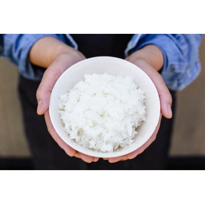 【PeboRa】青森県産はれわたり24本セット【無洗米/300g(2合)×24本】