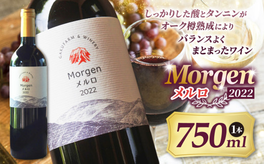 Morgenメルロ2022｜ワイン 信州 赤ワイン アルコール ポリフェノール メルロ ぶどう 希少価値 わいん 酒 おさけ さけ 長野県 松本市