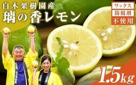 【先行予約】璃の香レモン 約1.5kg（4〜7個） 高知県土佐市 【株式会社SHIRAKI】 [BQAI024]