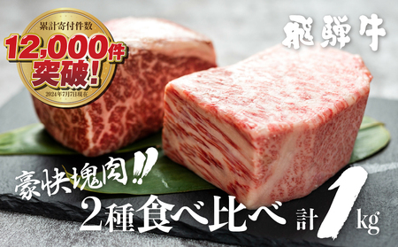 飛騨牛 ブロック肉 1kg(霜降り500g/赤身500g) 訳あり 部位お任せ