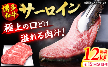 【全12回定期便】博多和牛 サーロイン ステーキ 200g×5枚 / 肉 ステーキ 牛肉 ステーキ 肉 ステーキ 牛肉 [AFBV022]