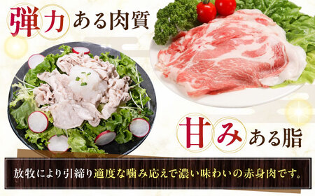 放牧豚肩ロース しゃぶしゃぶ 計1020g（170g×6）《厚真町》　【ファーマーズファクトリー株式会社】[AXBA132]