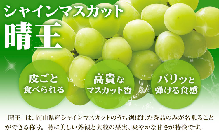 シャインマスカット【晴王】 岡山県産 4-9房(計4kg以上)【先行予約】 株式会社Myself《2025年9月上旬-11月上旬頃出荷》マスカット 送料無料 岡山県 浅口市 ぶどう フルーツ 果物 贈