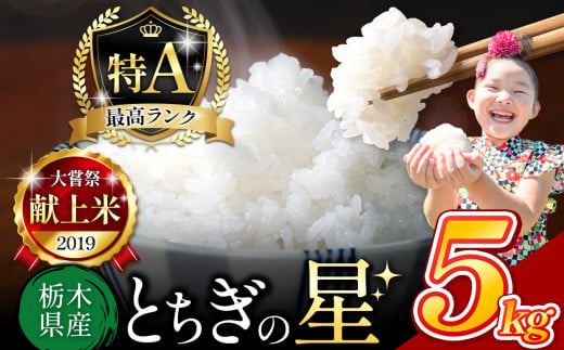 栃木県産 とちぎの星 白米 5kg |  お米 米 こめ おにぎり ごはん ご飯 令和6年産 栃木県 真岡市 ブランド米 栃木県共通返礼品