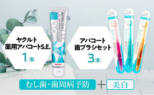歯磨き セット 歯磨き粉 1本 歯ブラシ 3本 薬用 ヤクルト アパコート 歯ブラシ 歯磨き粉 詰め合わせ ホワイトニング デンタルケア オーラルケア 口臭予防 衛生 虫歯 むし歯 歯周病 予防 オリジナル 詰め合わせ 日用品 生活用品 健康 クリーニング 必需品 湘南ヤクルト販売株式会社 神奈川 湘南 藤沢