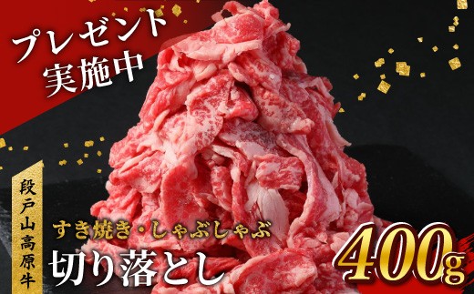 
                  キャンペーン実施中！7月発送★国産ブランド牛 切り落とし 400g (200g×2） 小分け 段戸山高原牛 幻 牛 国産 牛肉 牛 スライス 地域 限定 小分け 大満足 赤身 肉 数量限定 肉 牛肉切り落とし 牛切り落とし 国産牛 ブランド牛 5000円 -070S
                