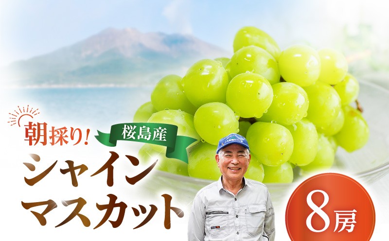 
                  【2025年先行予約】【桜島産】シャインマスカット 8房　K261-001_05
                