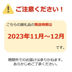 【2023年11月～12月発送】ご家庭用訳ありリンゴ（サンふじ）約10kg_H085(R5)