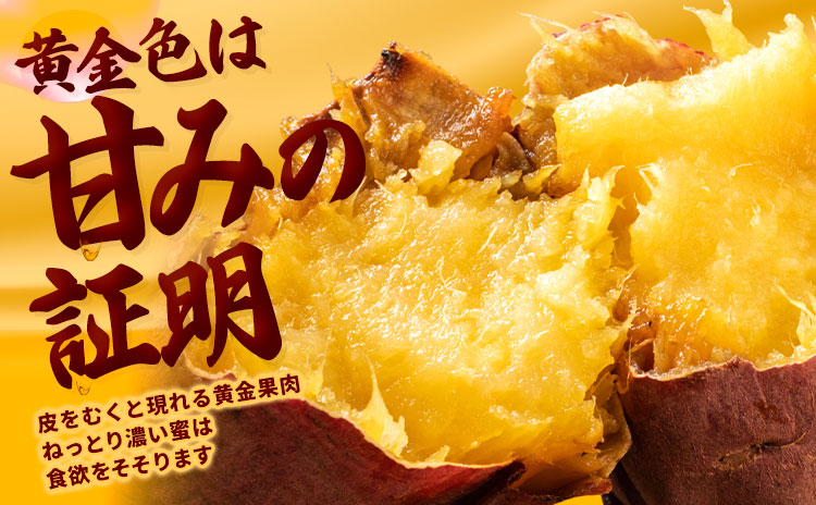 訳あり紅はるか サツマイモ 3kg 《2026年1月上旬-5月末頃出荷予定》紅はるか さつまいも 熊本県 大津町 イモ 芋 さつまいも 訳あり---oz_jsmih_26_af15_4500_3kg-