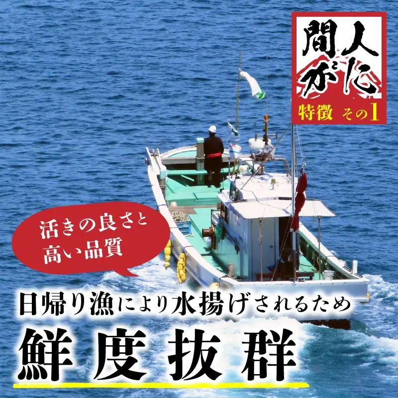 （訳あり）活間人がに　2匹　Cセット　2/22～3/21発送予定