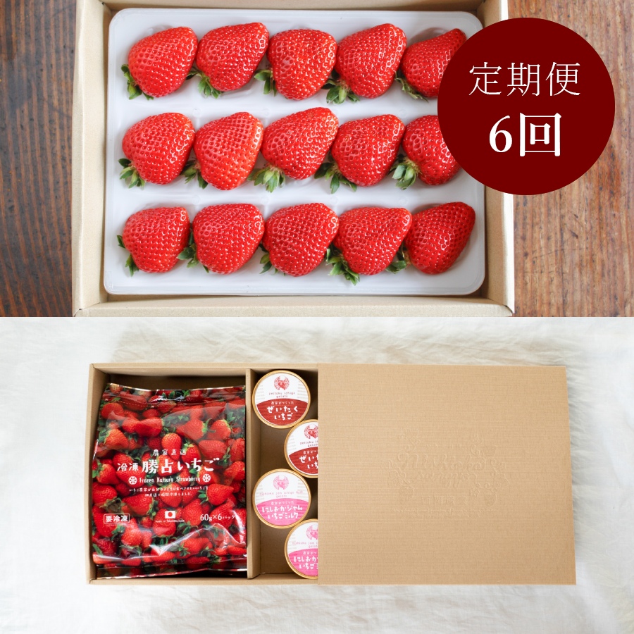 ＜いちご農家西岡農園＞勝占いちご15粒・冷凍苺1袋とジェラート4カップ【定期便6回】2026年1月開始